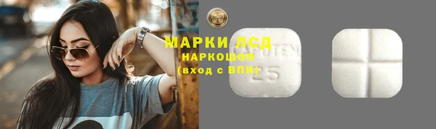 крисы Михайловка